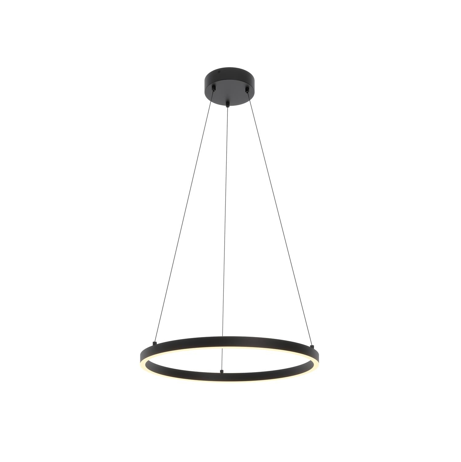 Glo 24'' LED Pendant