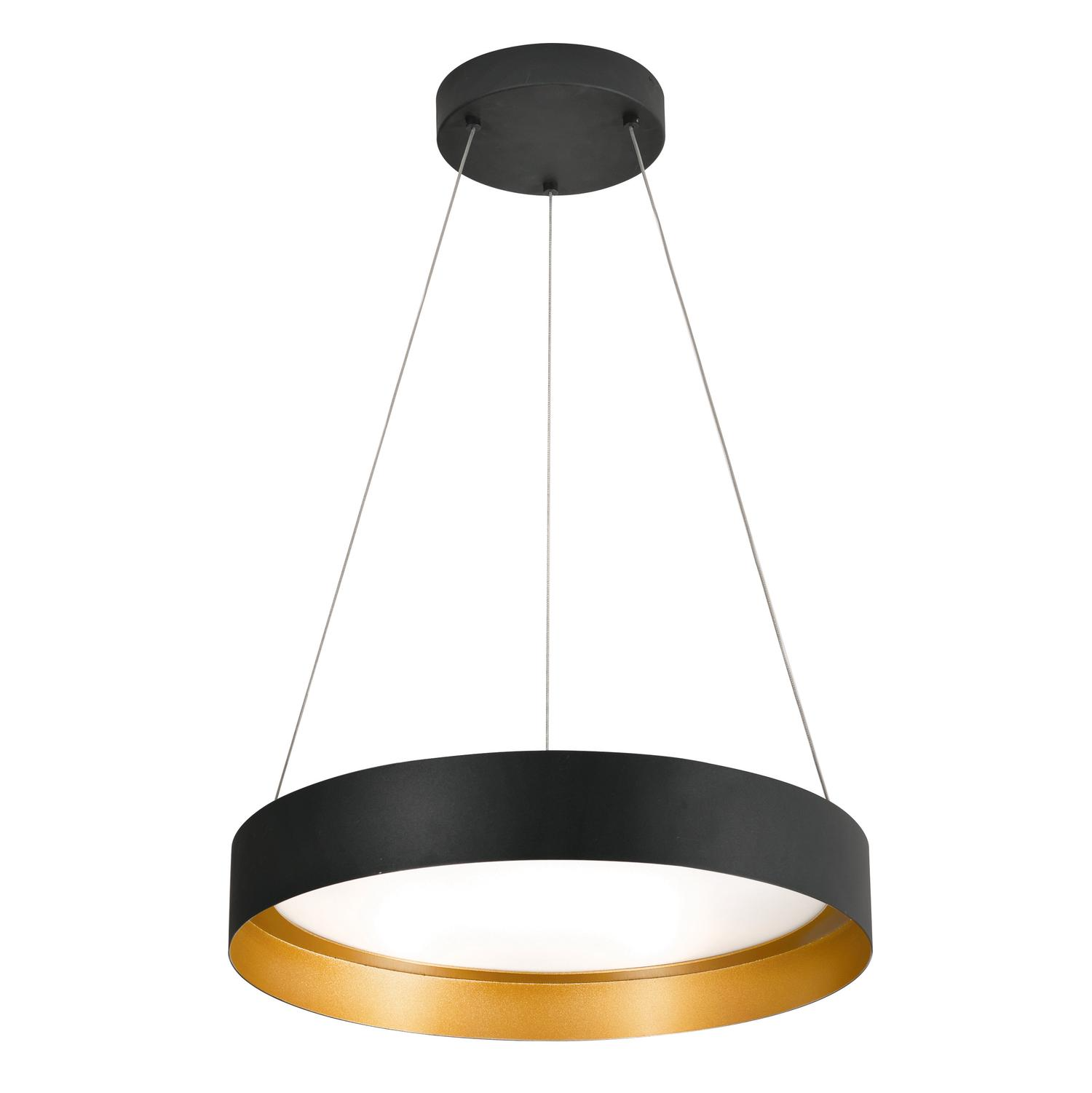 Reveal 20'' LED Pendant